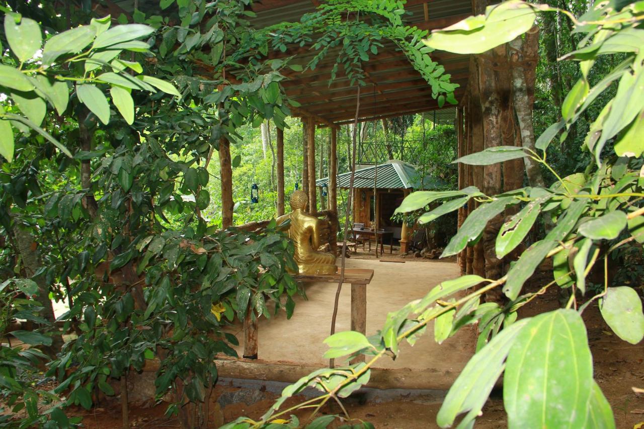 Ayurveda Spice Forest Retreat