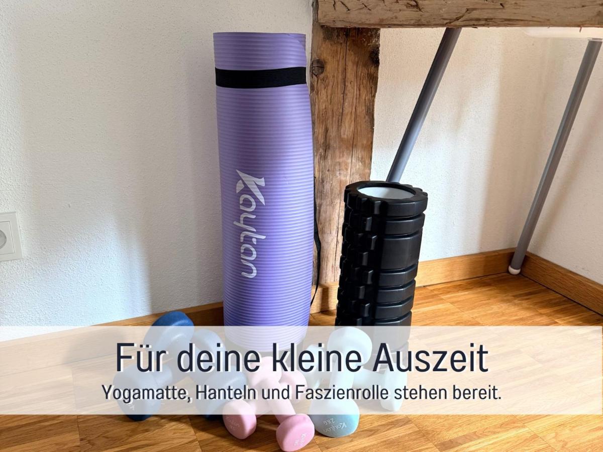 FeWo Altstadtalbert & FeWo Altstadtnest mit Dachterrasse und Parkplätzen - Ferienwohnung Coburg