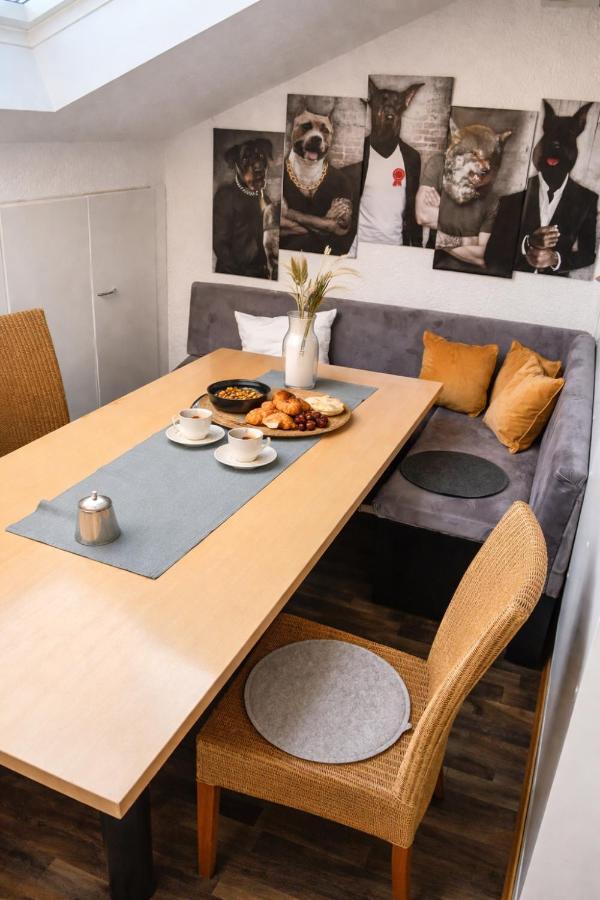 Ü Villa für Freunde 3 Wohneinheiten mit Außenfläche und Grill - Chambres d'hôtes Hirschaid