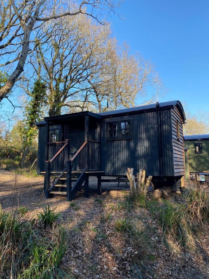 Bluebell Wood Shepherds Hut Cosy Woodland Retreat - Chambres d'hôtes Langton Matravers