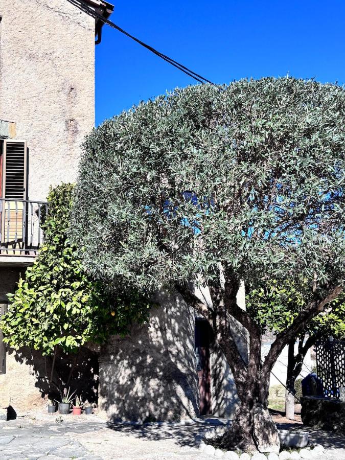 Mas la Fàbrica Rural Home - B&B les Planes d'Hostoles