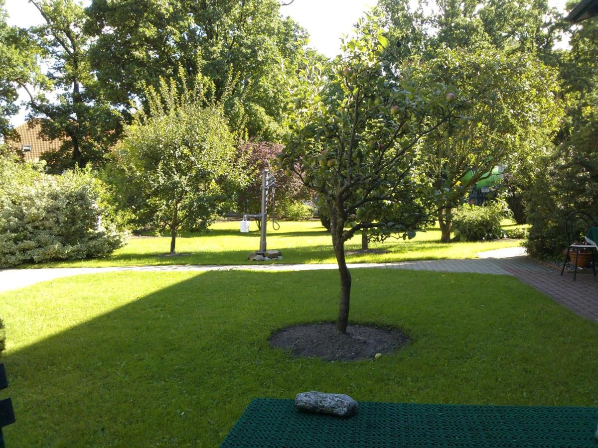 One-Bedroom Apartment in Putbus II - Bed and Breakfast