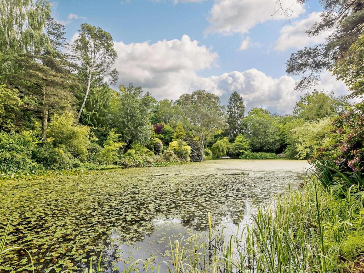 1 Bed in Welshpool oc-92796 - B&B Welshpool