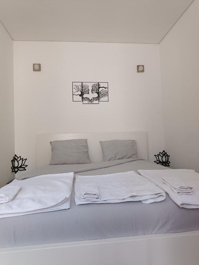 Porto Histórico - pet friendly - B&B Oporto