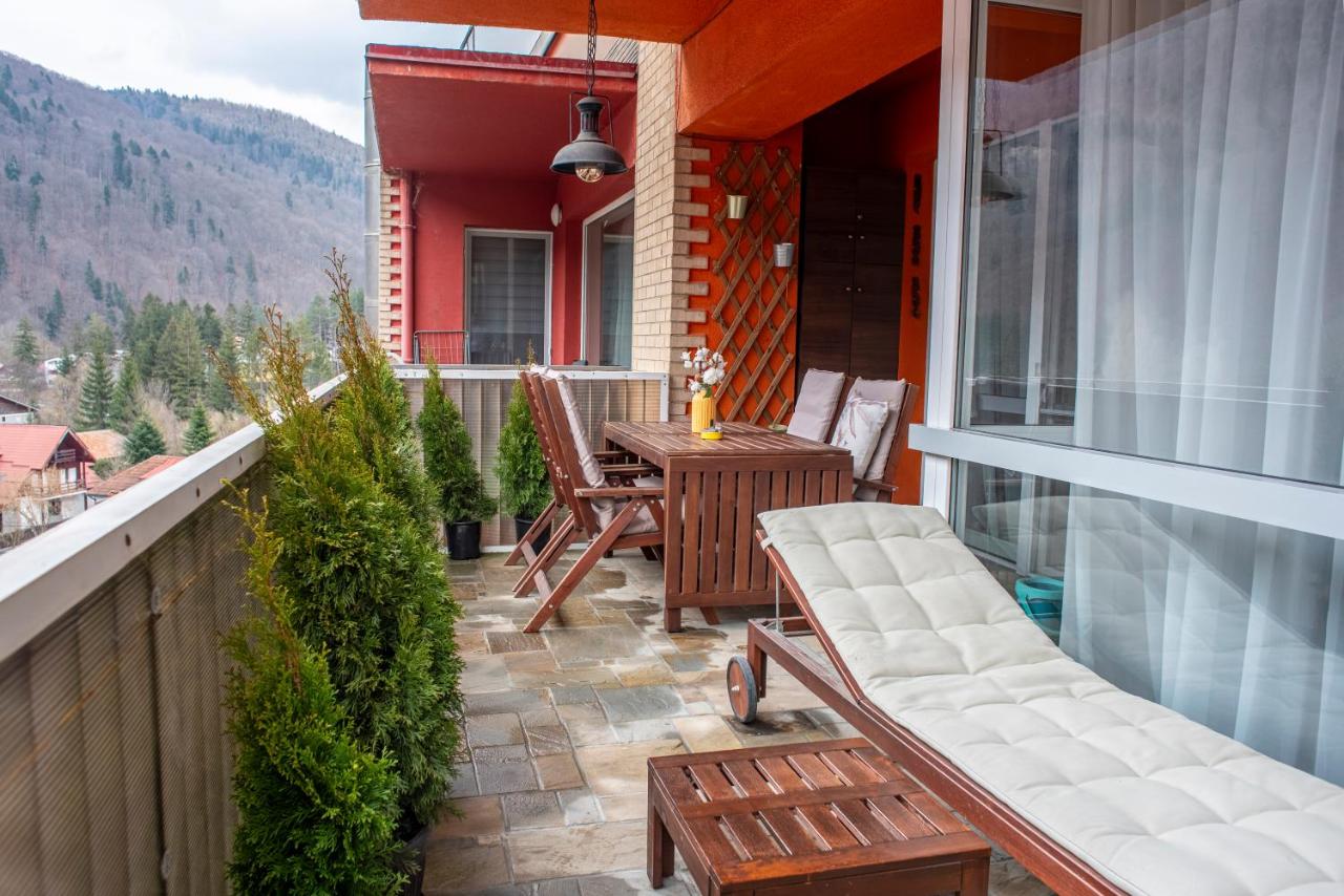 Forestline Apartment Sinaia - Bed and Breakfast Sinaia