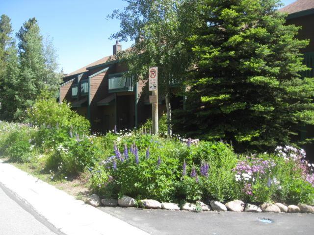 Winterpoint 21 - B&B