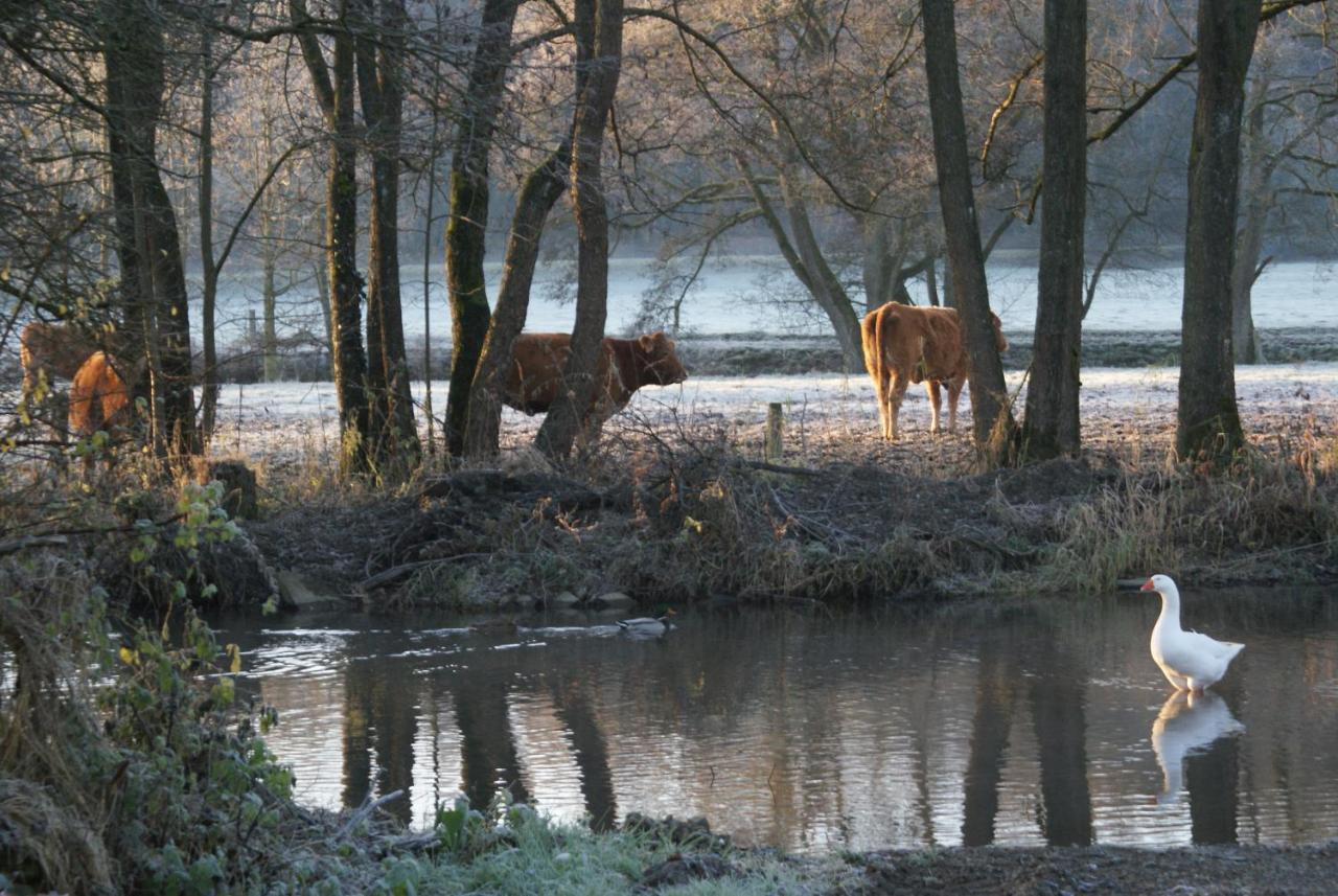 Huis met 2 Slaapkamers