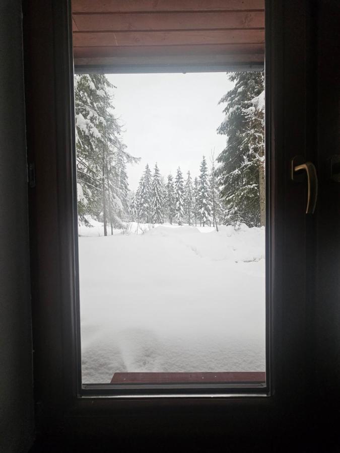 Przystanek Dolina Kościeliska - B&B Kościelisko