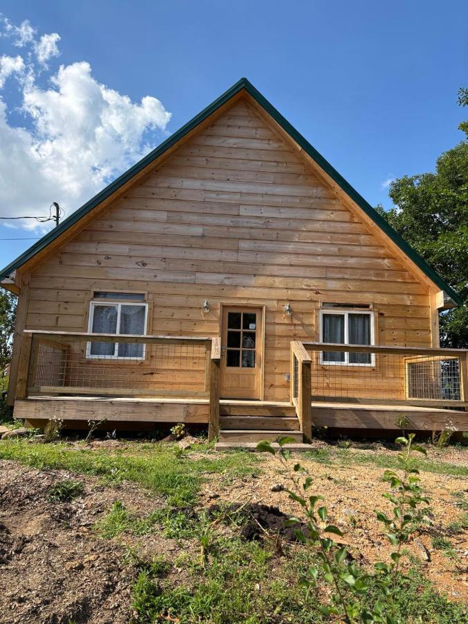 A Lifetime of Memories Entire Cabin Pigeon Forge Tn - Ferienwohnung Pigeon Forge