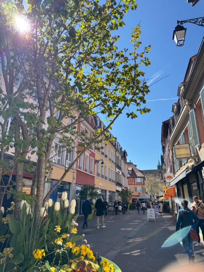 Charming apartment in the heart of Colmar - Chambres d’hôtes Colmar