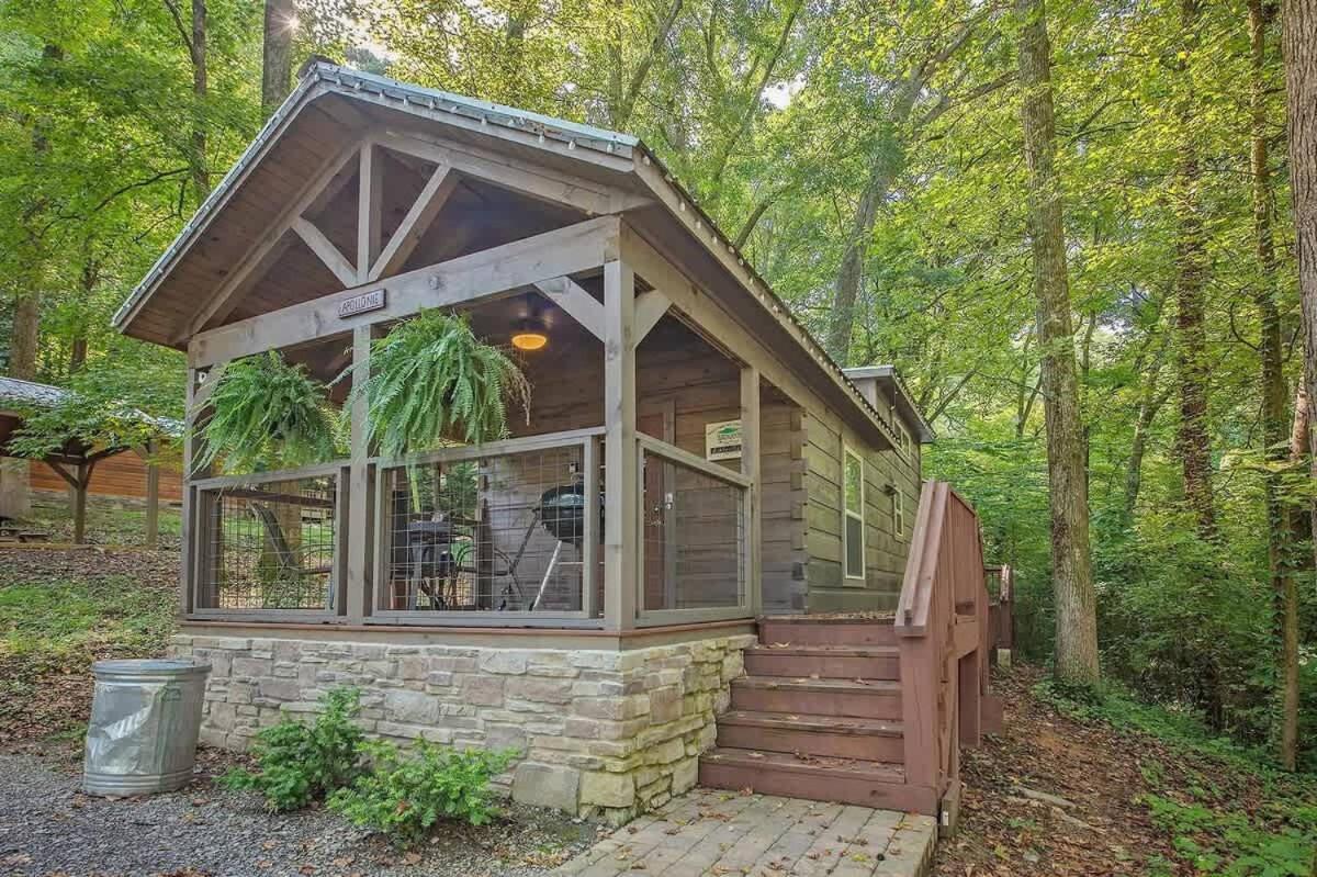 Apollonie Cabin Lookout Mountain Hot Tub - Chambres d'hôtes Chattanooga