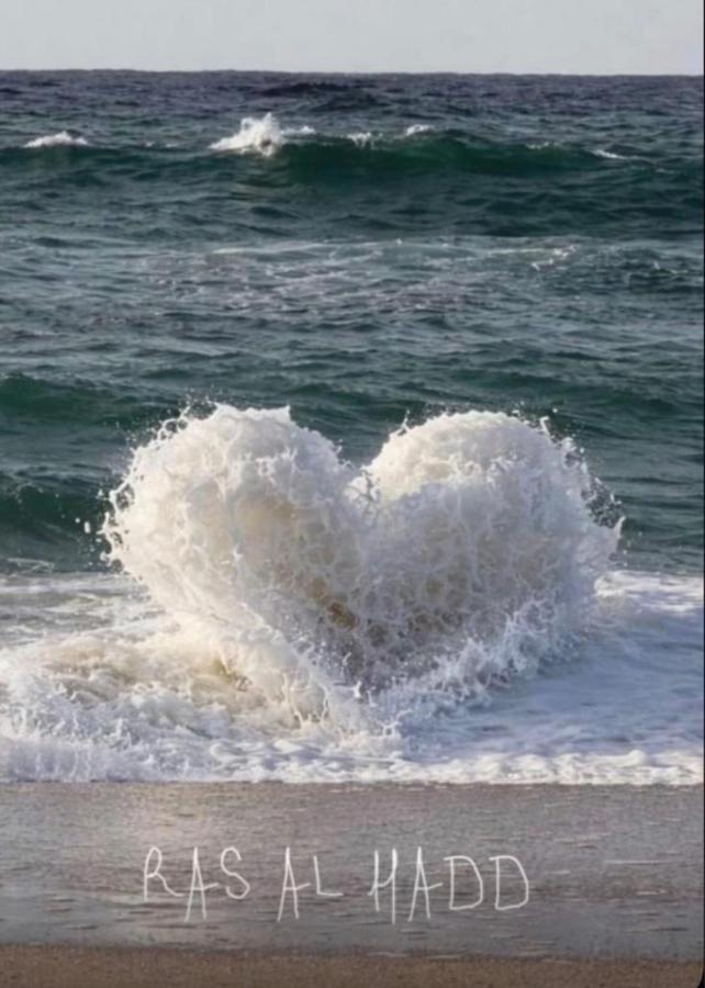 Pink Beach Guest House - B&B Ras al Hadd