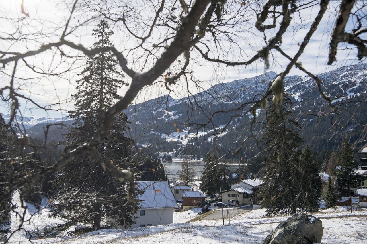 House with mountain views & a sun terrace - B&B Valbella