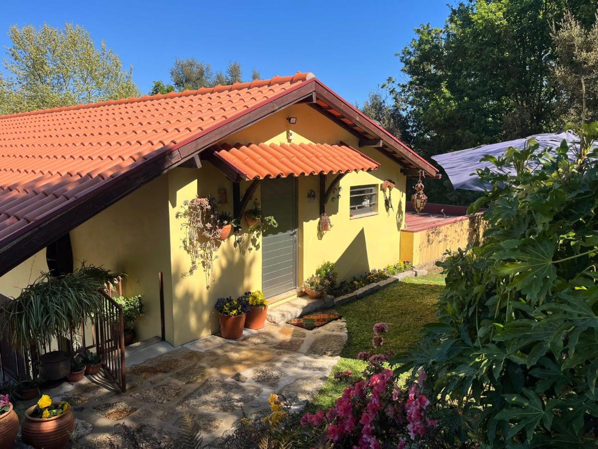 Quinta de Carcavelos Agroturismo e Enoturismo - B&B Celorico de Basto