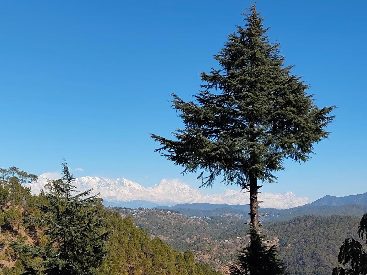 Peak & Pine cottage - B&B Almora