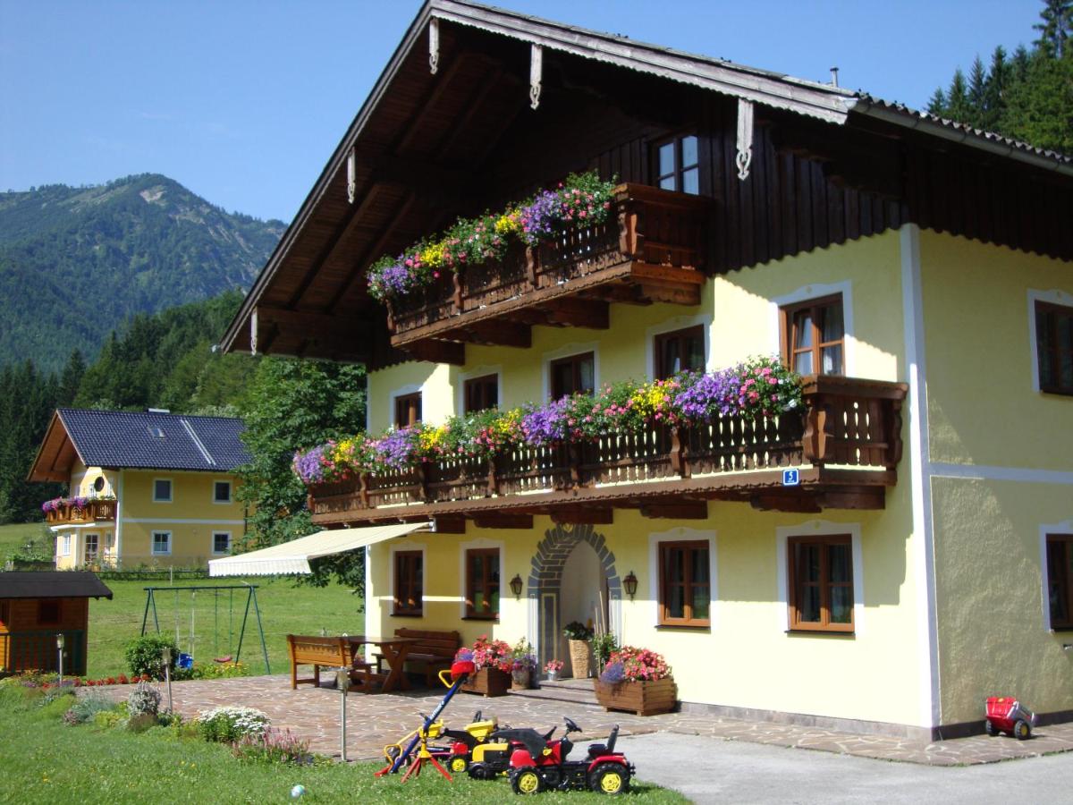 Pferdehof Almgut - Reiten für Kinder, Natur und Erholung nahe Salzburg - Chambres d'hôtes Faistenau
