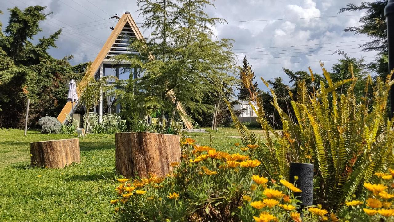DREAM house by the sea in COCOland - Ferienwohnung Epanomí
