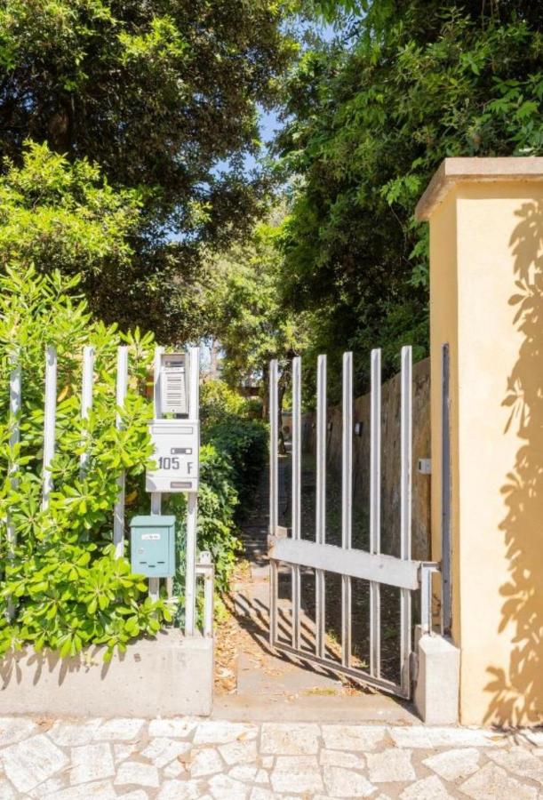 Tirrenia House - B&B Tirrenia