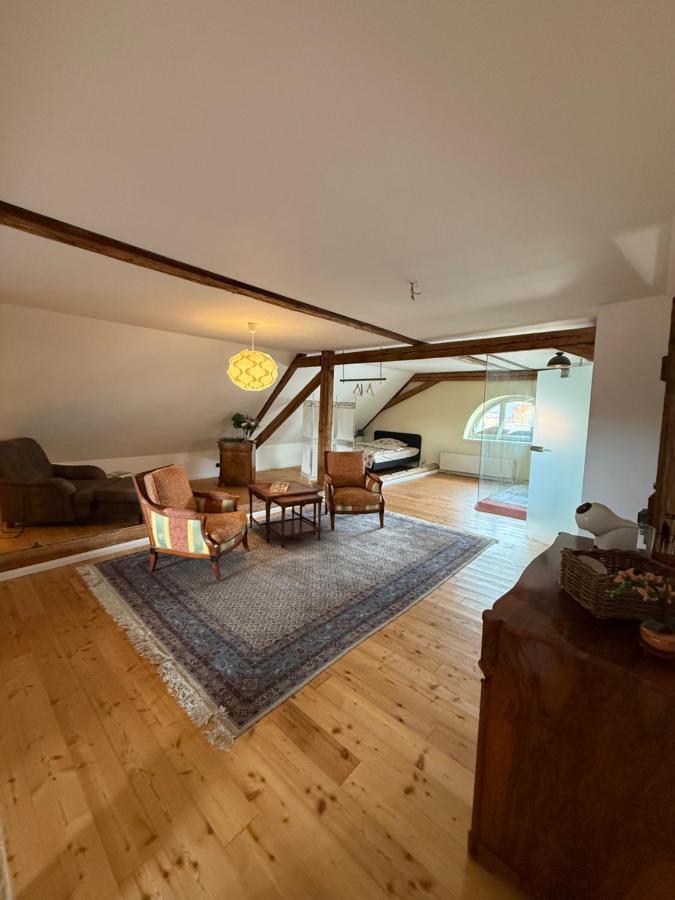 Dachstudio in tierfreundlicher Hofreite - B&B Stadecken-Elsheim