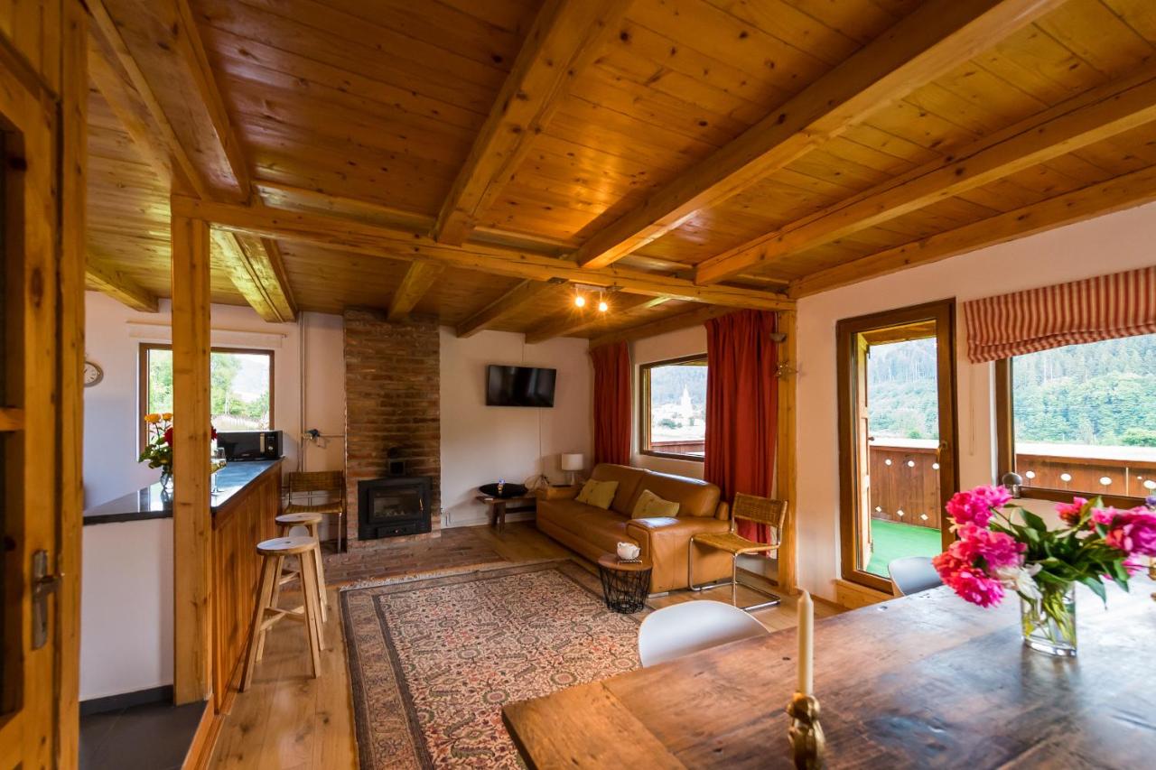 Chalet M 1 - Ferienwohnung Lunca Bradului