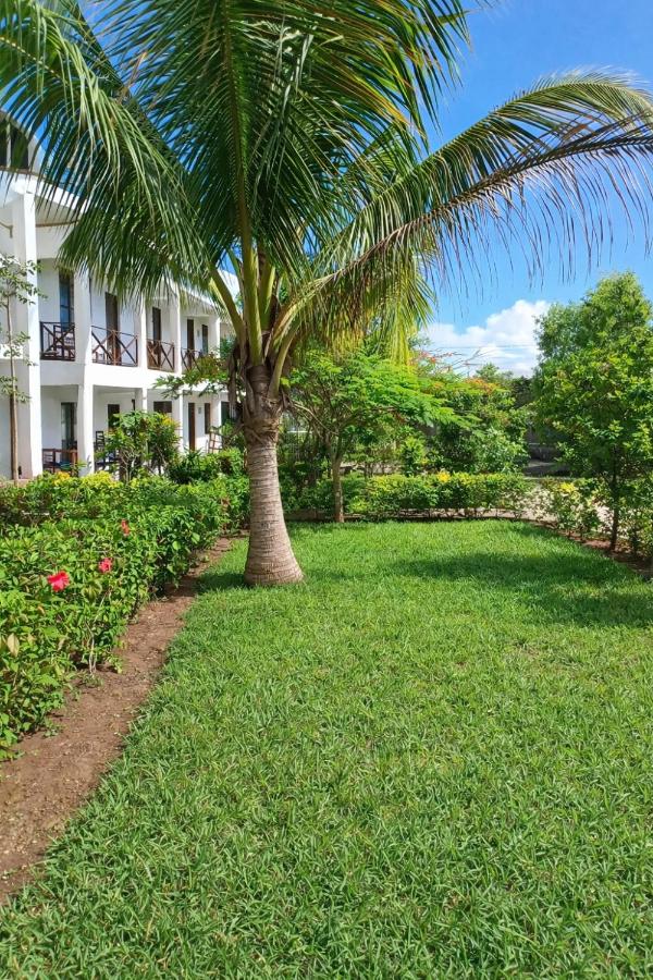 Majani Breeze Zanzibar - B&B Nungwi