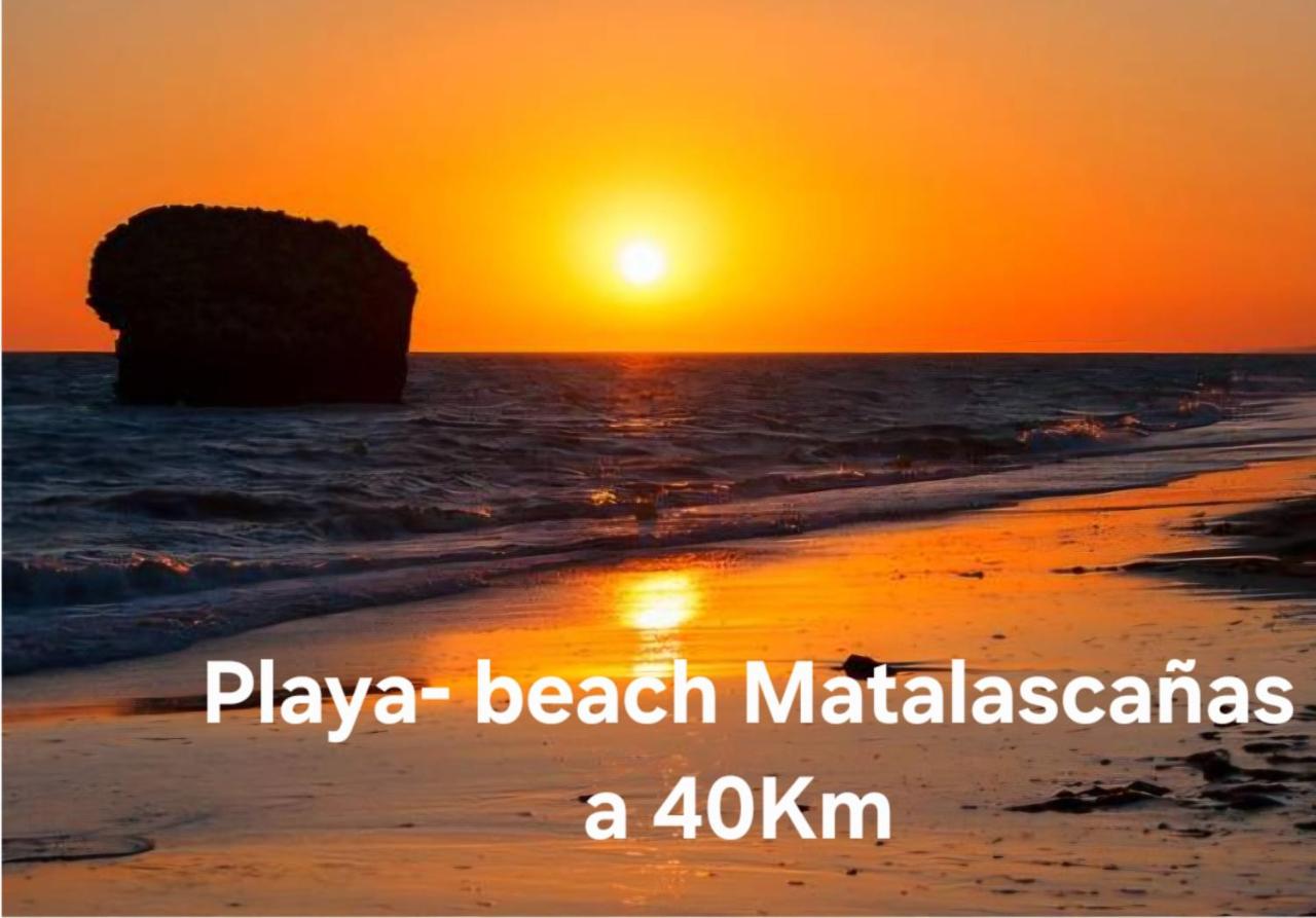 Loft Home Torremirador a 40min Sevilla y Playas de Doñana - Chambres d'hôtes Villalba del Alcor
