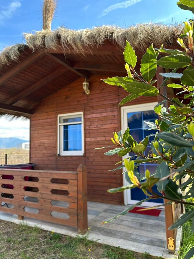 Sea View Wooden Houses - Bed and Breakfast Lezhë