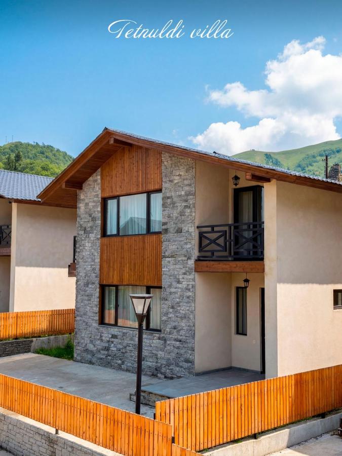 Villa Tetnuldi - Ferienwohnung Bakuriani