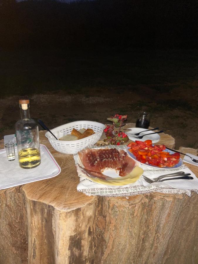 Forest Paradise - Chambres d’hôtes Ličko Petrovo Selo