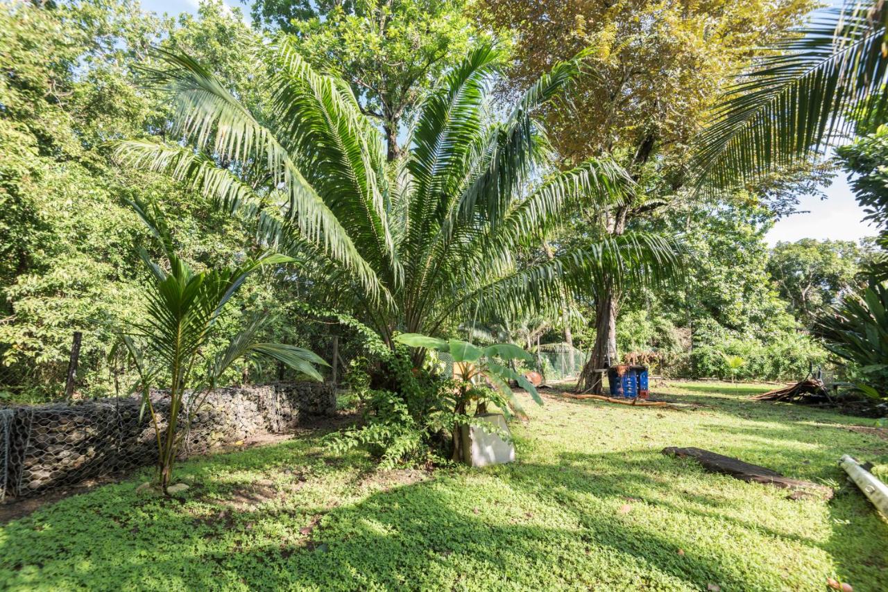 Chambre Double Standard avec Ventilateur