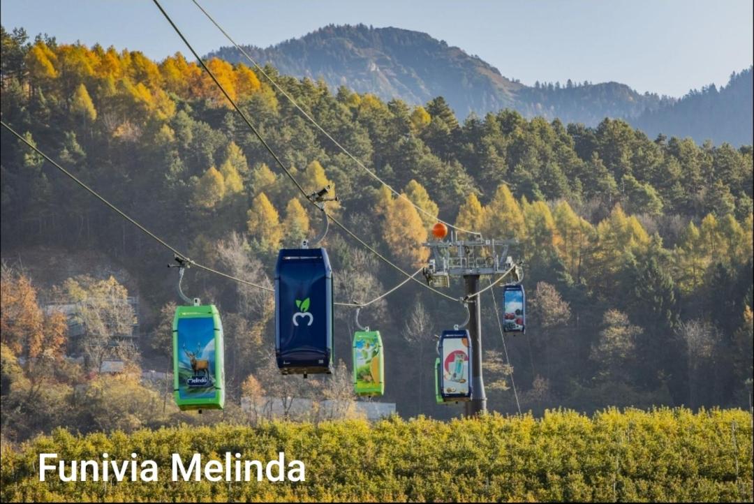 Agritur Casa al Mulino Camere - Bed and Breakfast Sanzeno