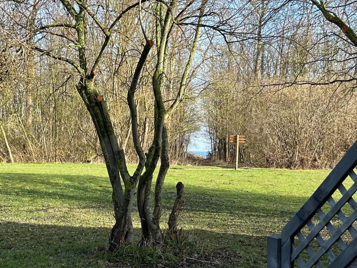 Ferienpark Seepferdchen, 06B, Haus Usedom 6b - B&B Ostseebad Nienhagen