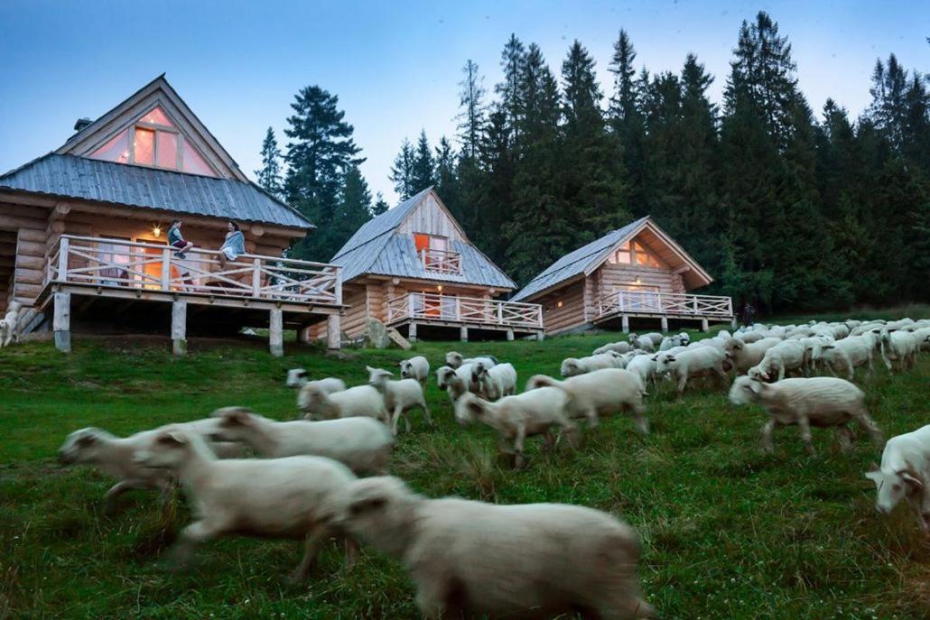 Szymkówka - B&B Bukowina Tatrzańska