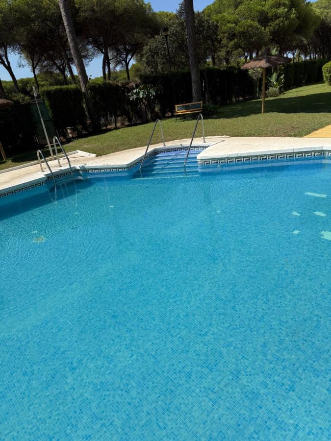 Charming Pet-Friendly Beach Apartment with Private Garden & Pool Access - B&B Sitio de Calahonda