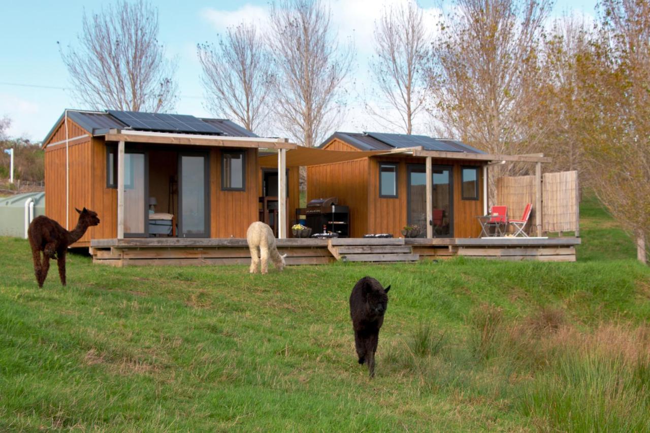 HavenRidge Alpaca Glamping Cabins - Ferienwohnung Kaiwaka