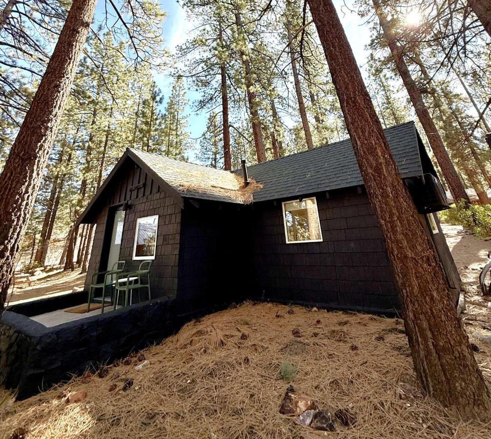 Stay Awhile / C3 1 bedroom cabin