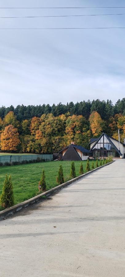 Casa Seliana Spa - B&B Capu Câmpului
