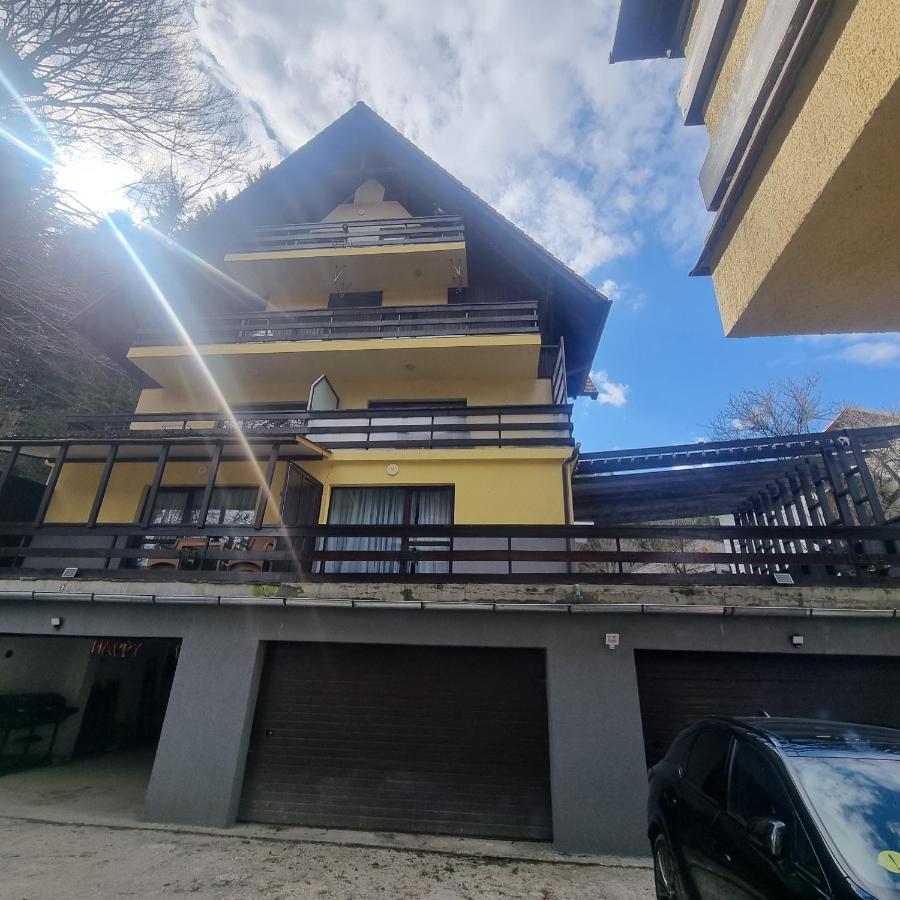 Apartament Kalinderu K1 Bușteni - Bed and Breakfast Buşteni