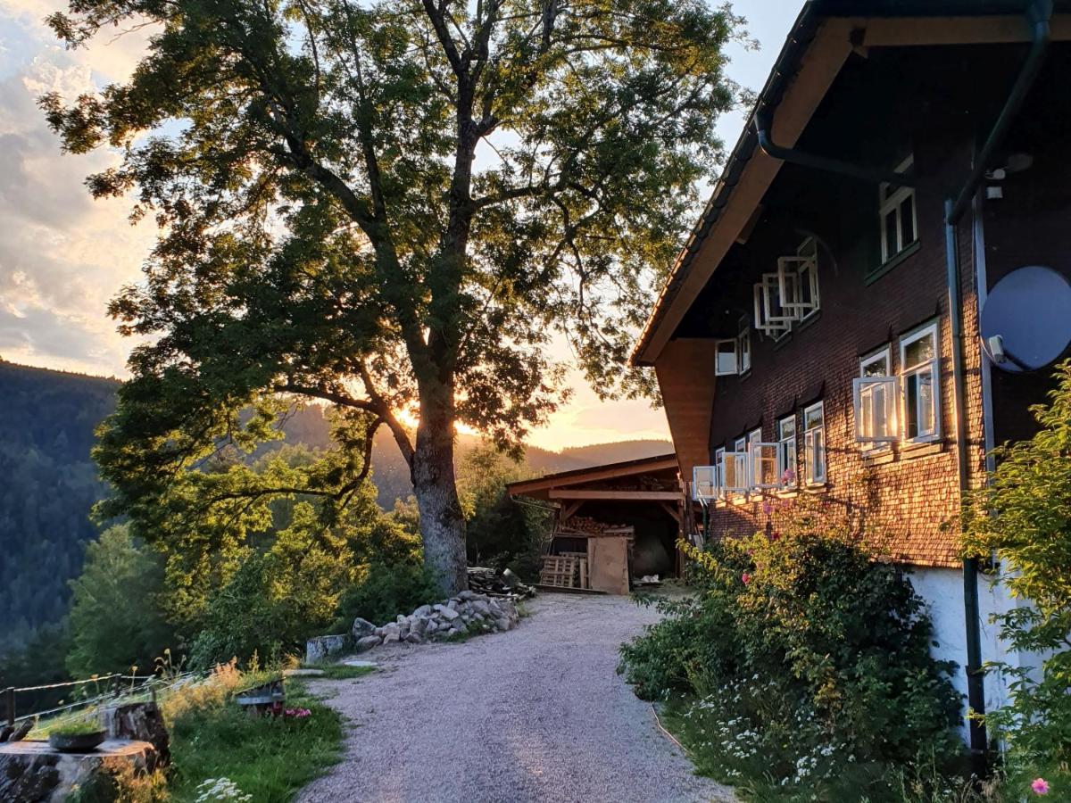 Feißesberghof - Wohnung in der Tenne - B&B Triberg