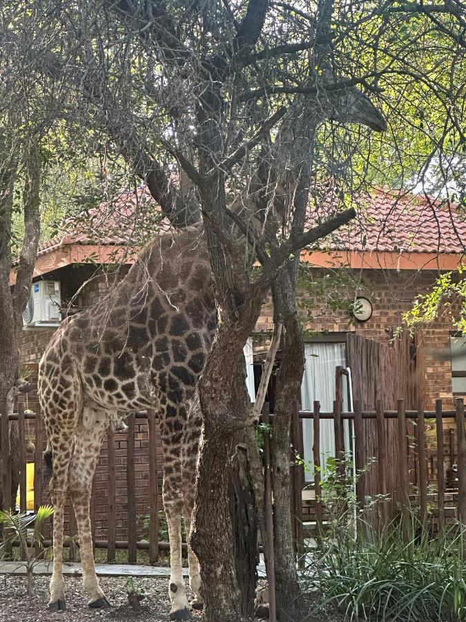 Kruger Afrique Lodge - B&B Marloth Park