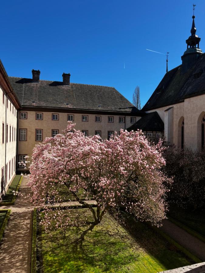 Weserfeeling Apartment in Höxter - B&B Höxter