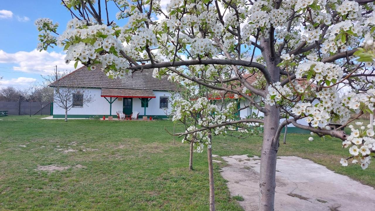 Konyhadűlő Vendégház - B&B Kiskunmajsa