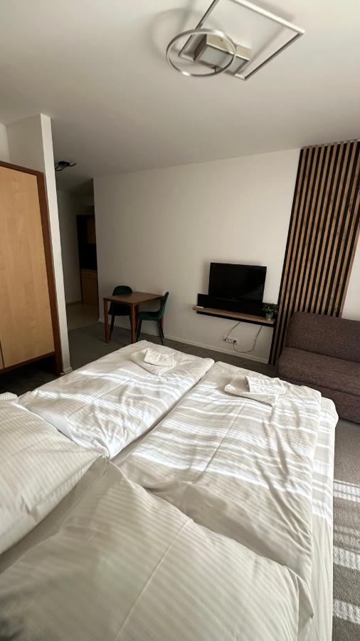 Útulný súkromný apartmán B101 - Ferienwohnung Großlomnitz