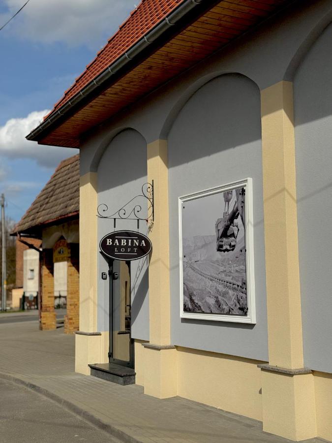 Babina Loft - Bed and Breakfast Łęknica