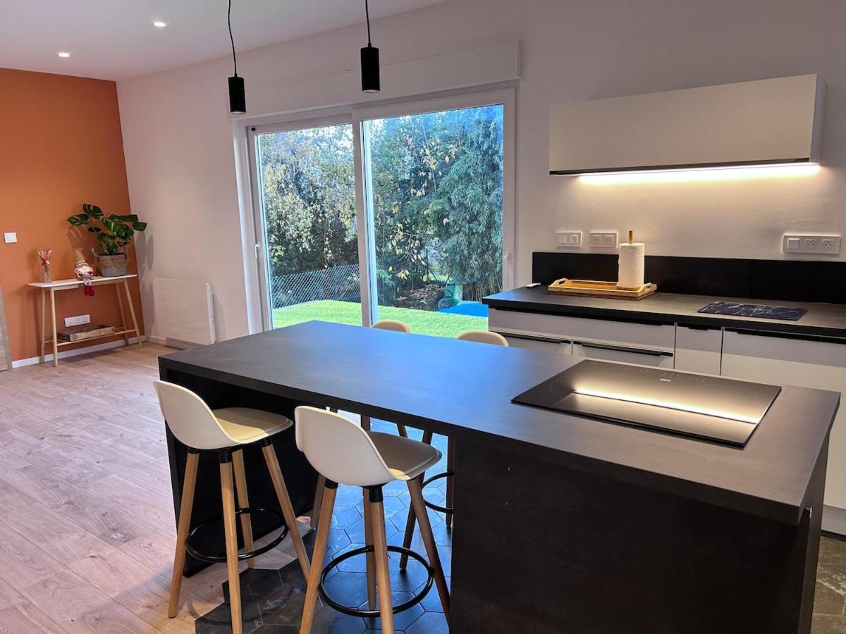 Appartement proche de Colmar - Chambres d'hôtes Horbourg-Wihr