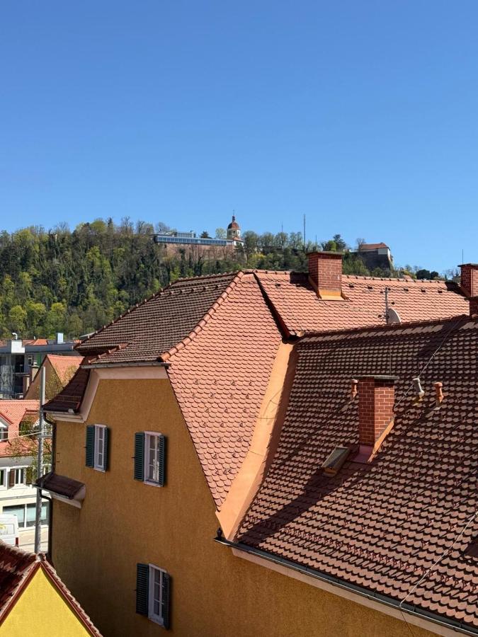 Graz City Penthouse - Bed and Breakfast Graz