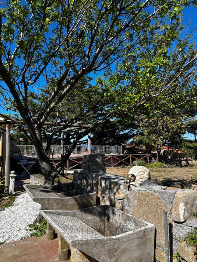 Da Davide - B&B Marciana Marina