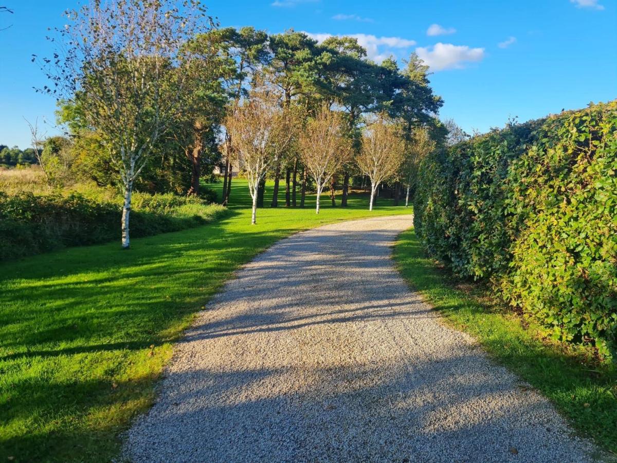 Three Hares Farmhouse, Galway - Bed and Breakfast Craughwell