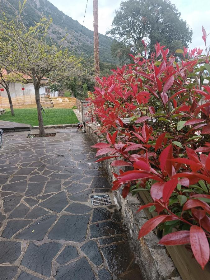 Orminia ground level - B&B Monolíthi