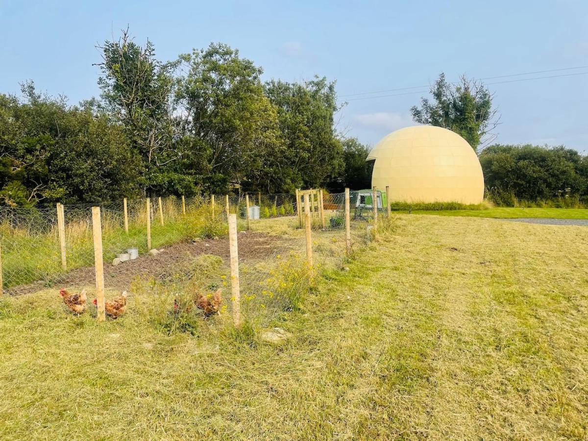 OMG!The Golden Egg - B&B Kiltimagh